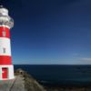 The Cape Palliser lighthouse standing proud at the southernmost tip of the North Island.