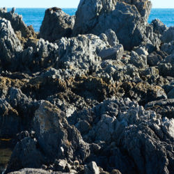 A coastal walks to the Red Rocks Reserve, south of Wellington, features glorious views and even a fur seal colony.