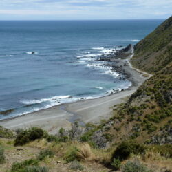 Red Rocks, Wellington