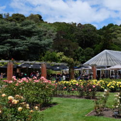 Botanical Gardens Cafe