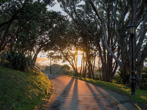 Botanical Gardens Walk