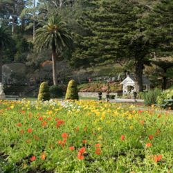 Botanical Lower Gardens