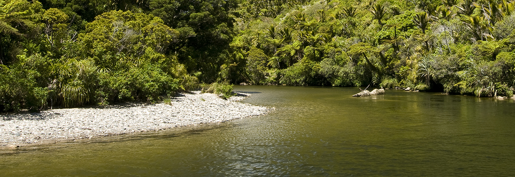 Der Pororari River in Punakaiki