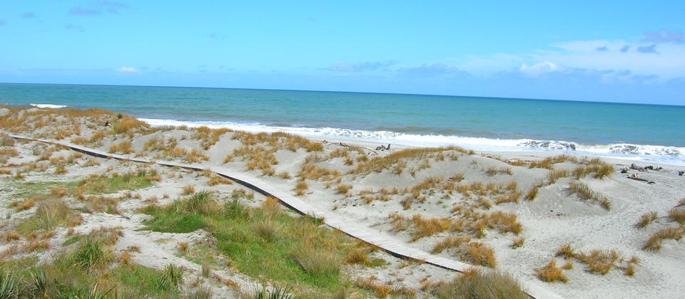 Strand und Sanddünen am Ship Creek, Jackson Bay, NZ