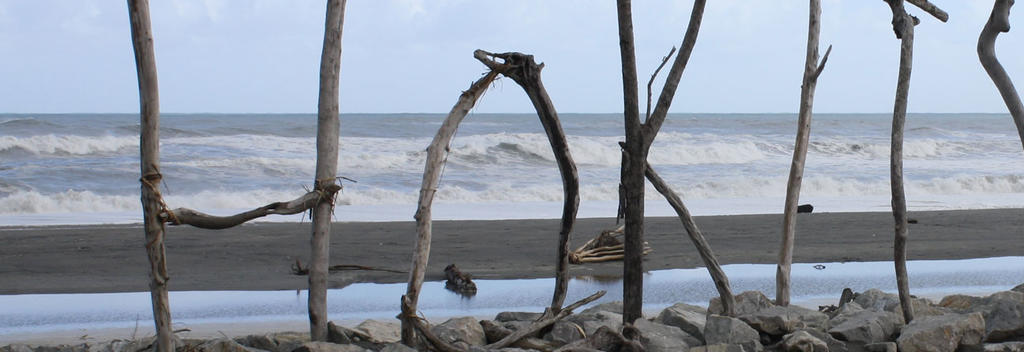 Hokitika Beach ist ein typischer Strand an der ungebändigten Westküste der Südinsel