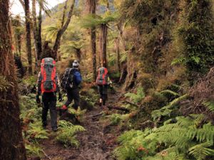 Eine mehrtägige Wanderung in Neuseeland bedeutet auch, dass man seinen Rucksack mehrere Tage lang tragen können muss.