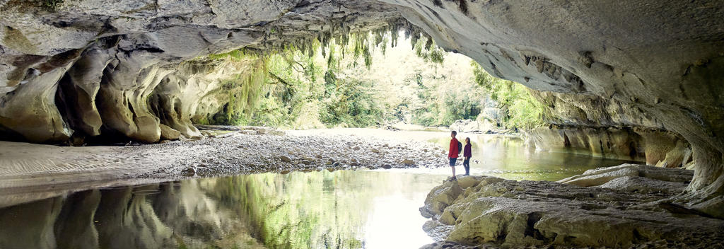 Discover spectacular limestone arches in a rain forest wonderland.