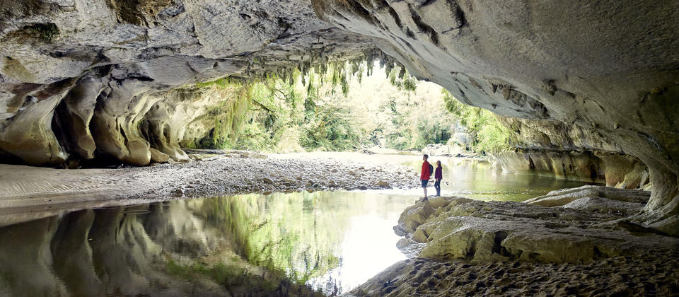Discover spectacular limestone arches in a rain forest wonderland.