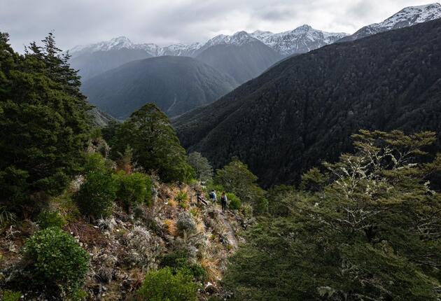 The St James Walkway combines diverse scenery, wildlife and vegetation on an undemanding trail through sub-alpine conservation and reserve areas.