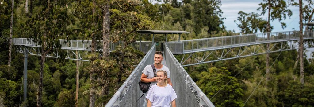 Treetop walk, Hokitika