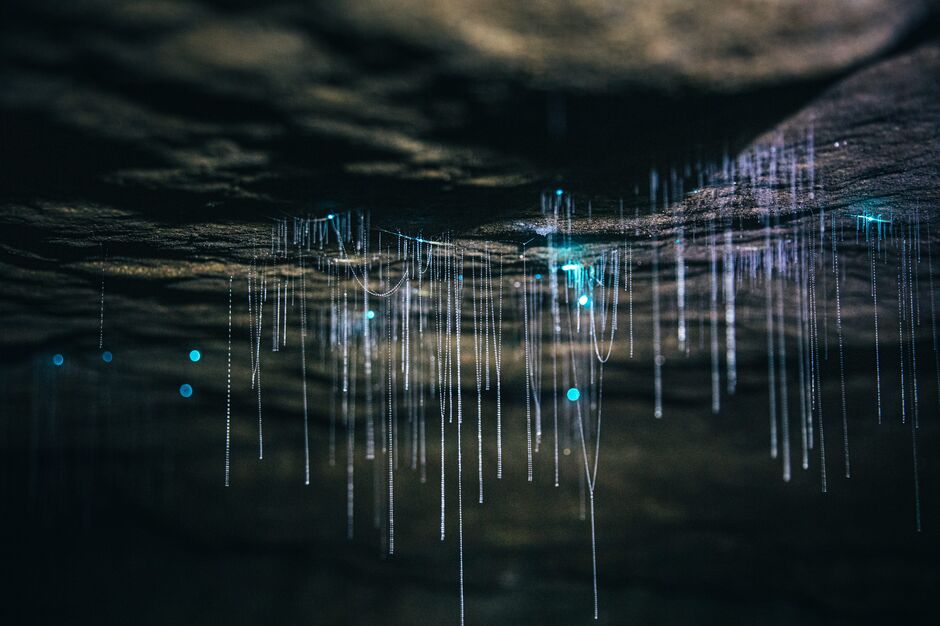 Underworld Adventures