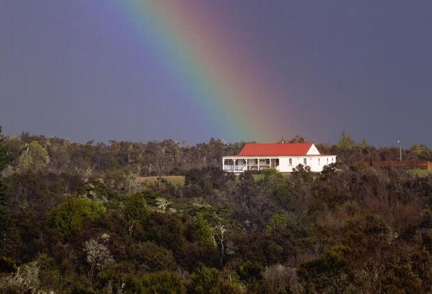 The park contains some of New Zealand's finest native beech forest, as well as relics from the region's famous gold rush.