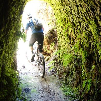 Riding the Blue Spur mountain biking track