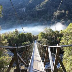 Hiking the Copland Track