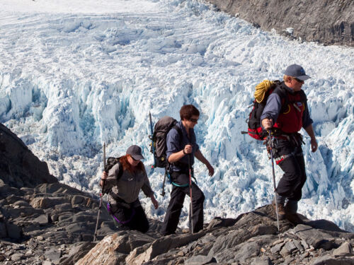 폭스 빙하 하이킹