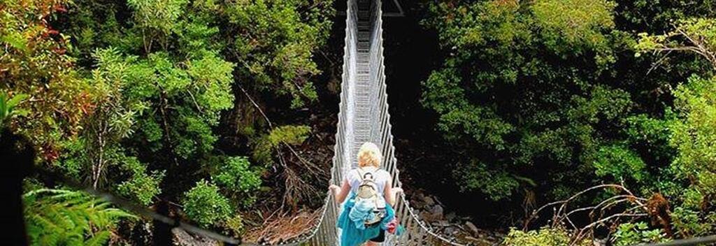 Hiking the Copland Track, near Fox Glacier