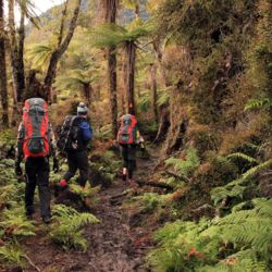 Being fit for a New Zealand multi-day hike also means getting used to a backpack