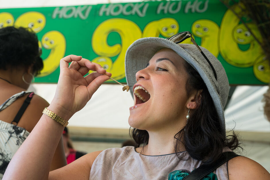 Hokitika Wildfoods Festival
