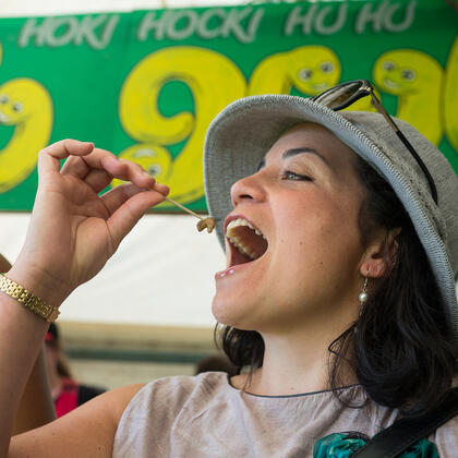 Hokitika Wildfoods Festival