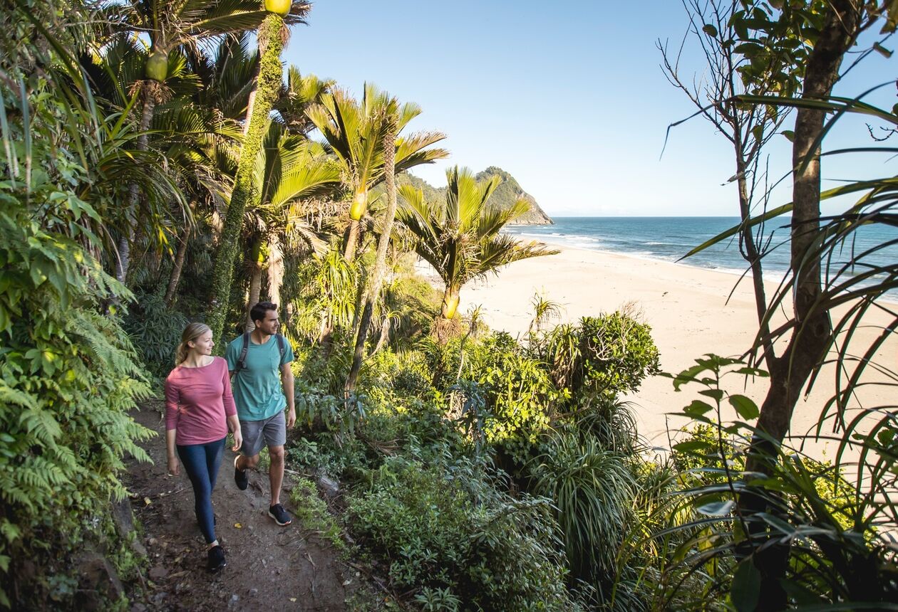 This ancient Maori trail crosses over tussock downs to lush forests, through nikau palms and onward to the roaring seas of the West Coast. Find out more about Heaphy Track, Great Walk.