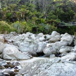 跨过林间小桥时是修养身心，沉醉其中的绝佳时刻。