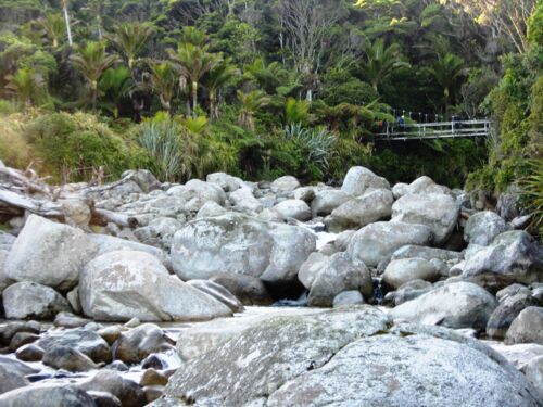 跨过林间小桥时是修养身心，沉醉其中的绝佳时刻。