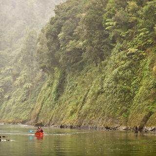 Take a guided canoe journey of Whanganui River.