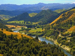 Mit dem Kajak über den Whanganui River, Neuseeland.