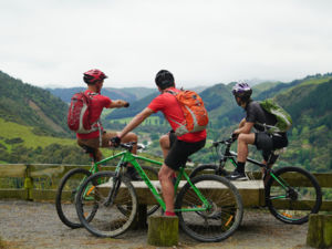 Whanganui River Road is a section of Mountains to Sea cycle Trail, stretching 297 km from Ohakune to Whanganui.