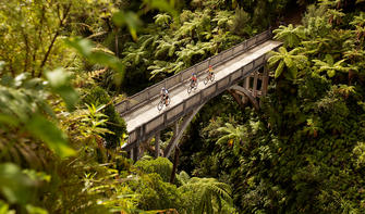 骑自行车探索旺格努依（Whanganui）的绝路桥（Bridge to Nowhere），感受前所未有的体验。