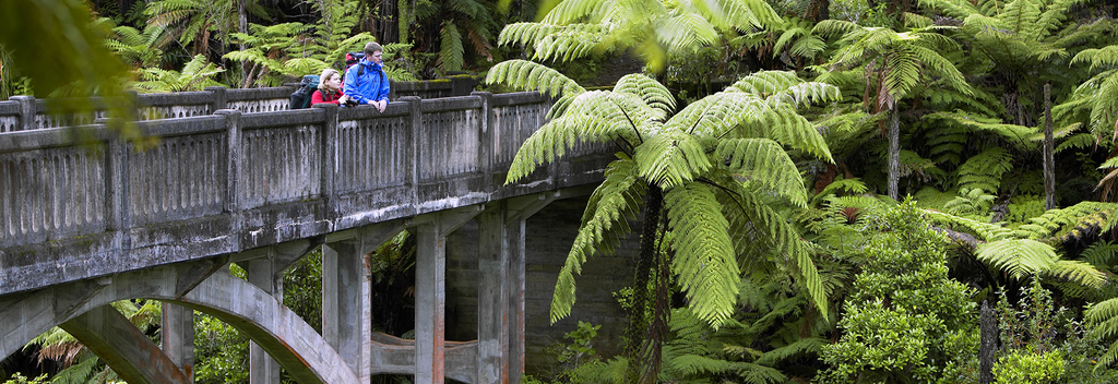 Bridge to Nowhere, Whanganui National Park