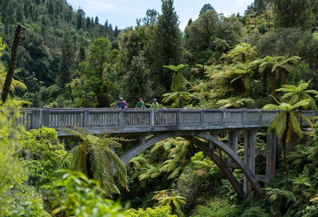 Stumble across a bizarre bridge in the middle of lush native forest. What's it doing here? Where does it lead? Discover the 'Bridge to Nowhere' in New Zealand.