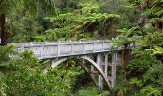 Entdecke die geheimnisvolle „Brücke ins Nichts“ im Whanganui National Park.