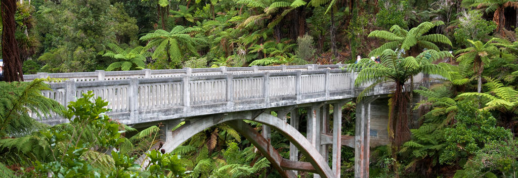 探索旺格努伊国家公园（Whanganui National Park）内充满神秘色彩的绝路桥（Bridge to Nowhere）。