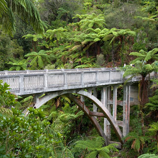 Discover the mysterious Bridge to Nowhere in Whanganui National Park
