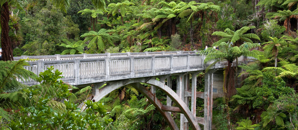 探索旺格努伊国家公园（Whanganui National Park）内充满神秘色彩的绝路桥（Bridge to Nowhere）。