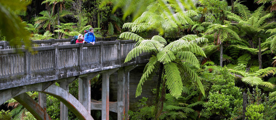 Bridge to Nowhere in Whanganui National Park