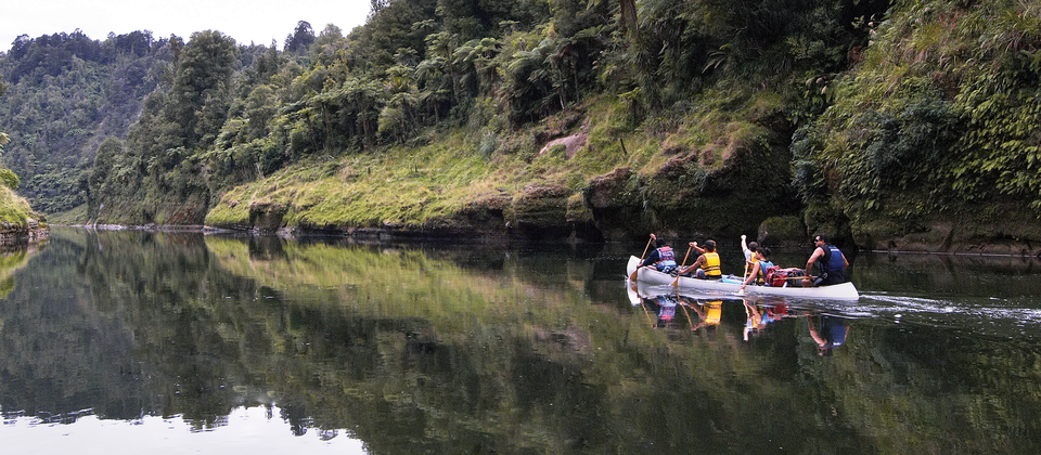 Canoeing safari on the Whanganui River