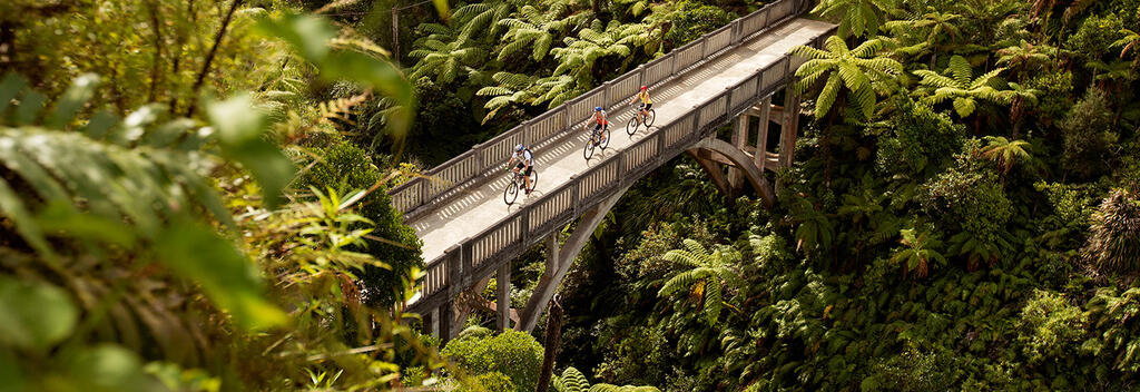 Whanganui's Bridge to Nowhere is fascinating to explore by bike.
