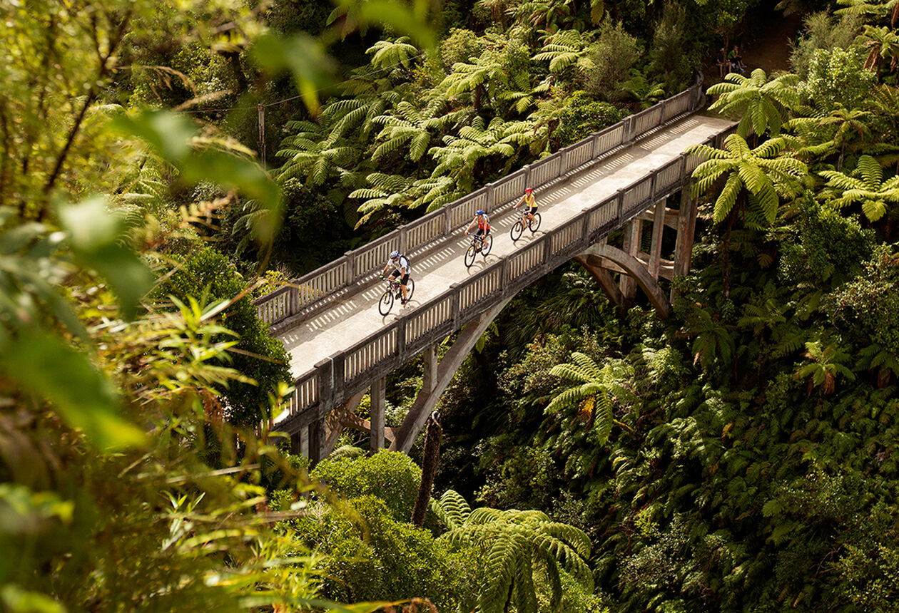 The Mountains to Sea journeys through Tongariro National Park and Whanganui National Park and takes in other regional highlights including Ohakune Old Coach Road, Bridge to Nowhere, and Whanganui River Road.  