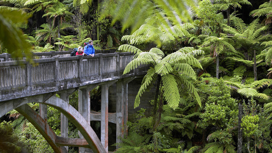 Bridge to Nowhere, Whanganui River