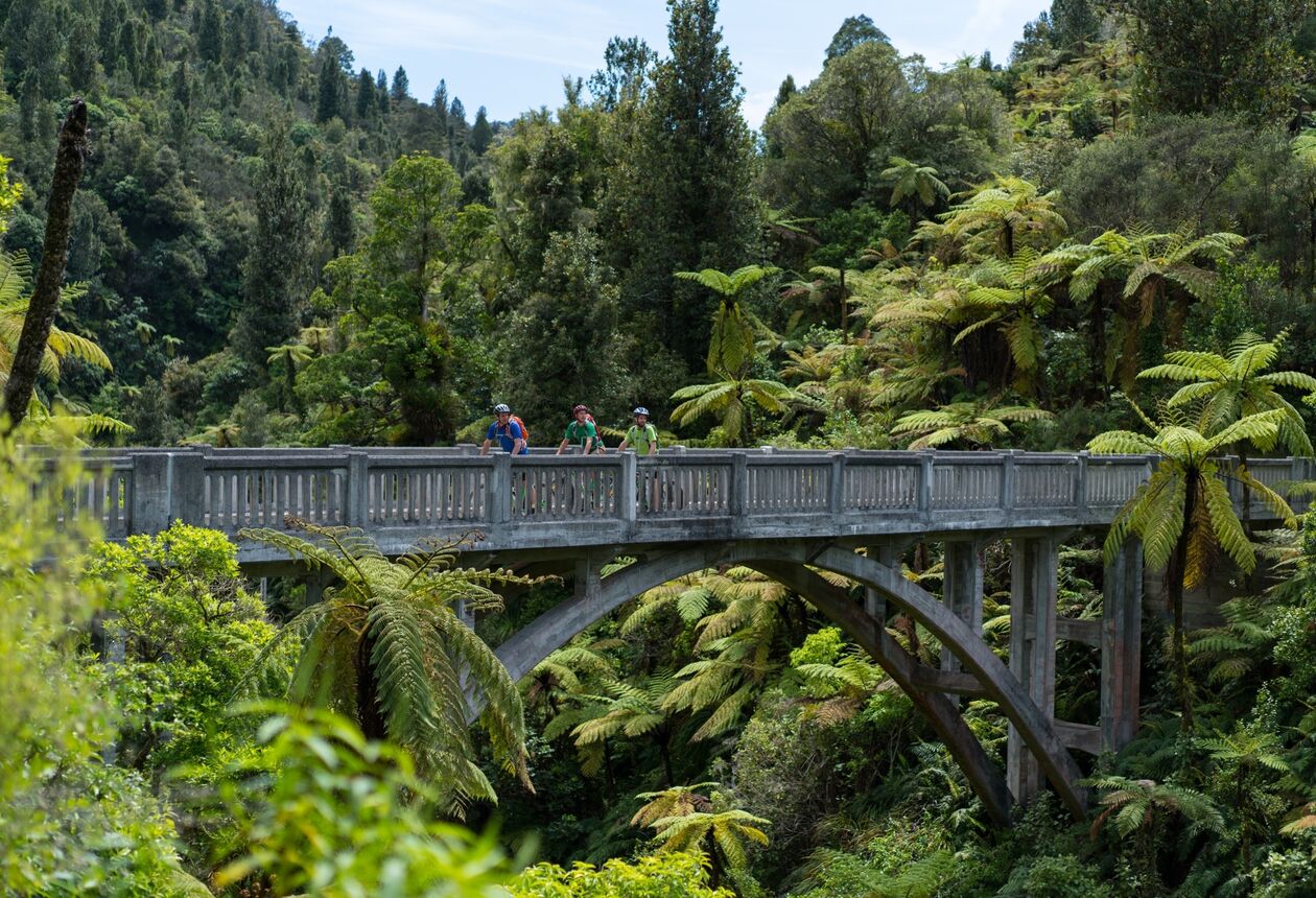 Stumble across a bizarre bridge in the middle of lush native forest. What's it doing here? Where does it lead? Discover the 'Bridge to Nowhere' in New Zealand.