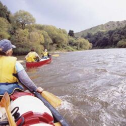 ファンガヌイ川でカヌー