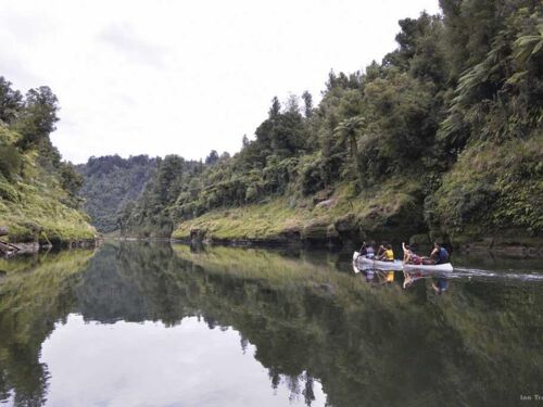 カヌーでサファリ旅行、ファンガヌイ川にて