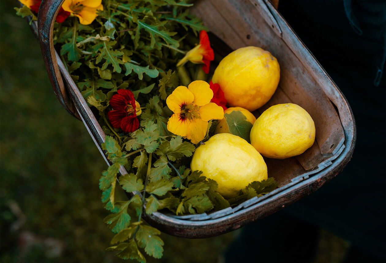 New Zealand's food, wine and beer attracts people from all over the world, and with good reason. Check out our Top 10 must-do food and drink activities to help plan your trip.