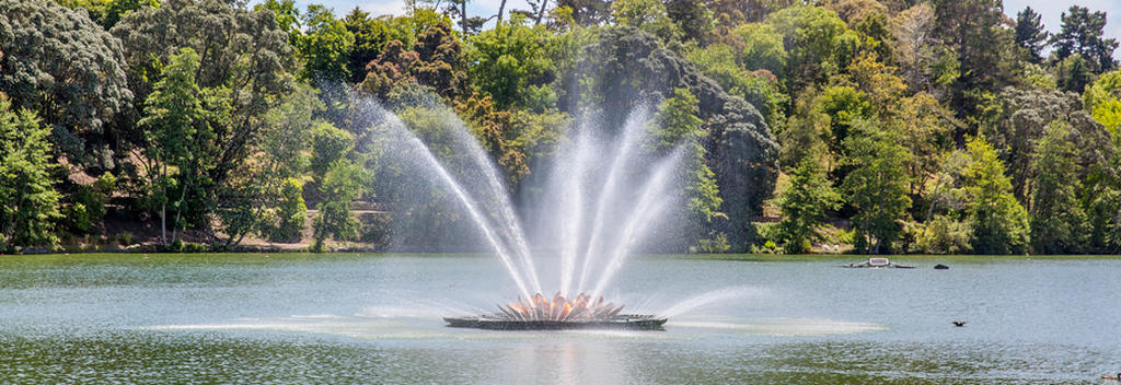 Virginia Lake Fountain