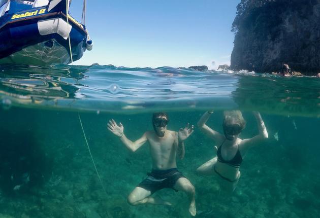 The Coromandel is home to two spectacular marine reserves, popular for diving and snokelling.
