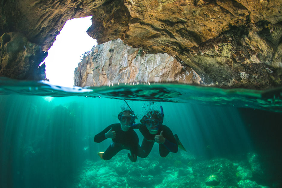 Dive! Tutukaka