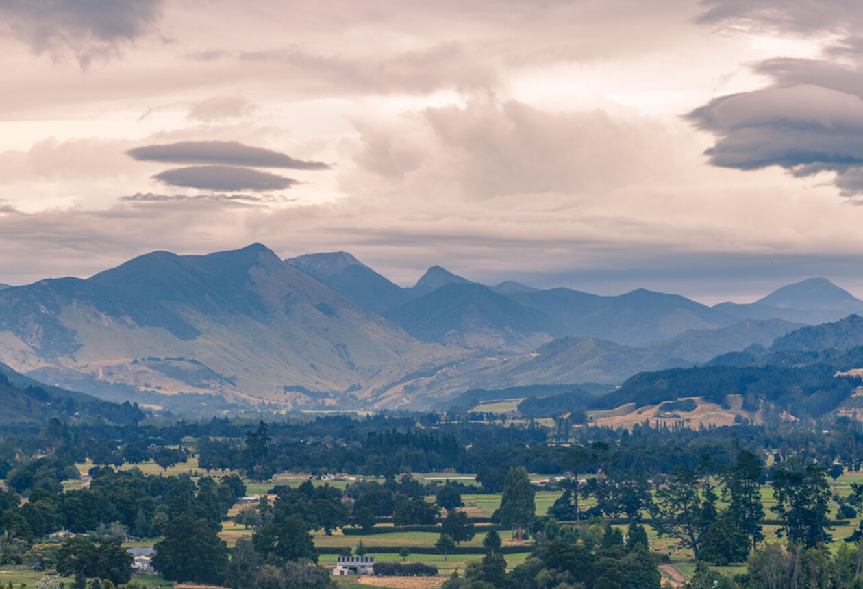 Venture over legendary Tākaka Hill to find the township of Tākaka, the main centre for Golden Bay. Enjoy friendly cafés and browse the art shops.