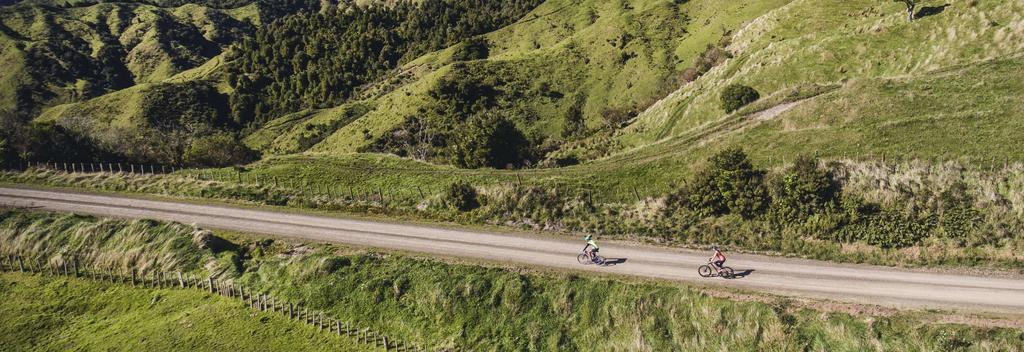 See the best of Tauranga by bike